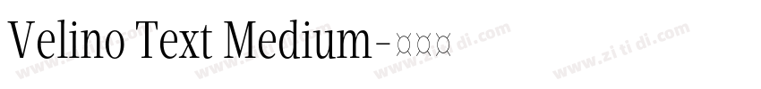 Velino Text Medium字体转换 Velino Text Medium字体转换